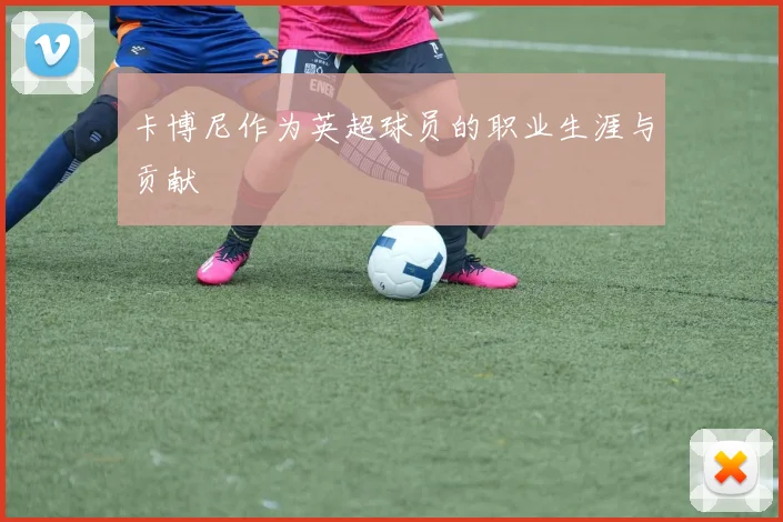 卡博尼作为英超球员的职业生涯与贡献