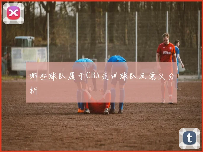 哪些球队属于CBA走训球队及意义分析