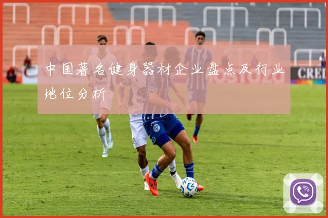 中国著名健身器材企业盘点及行业地位分析