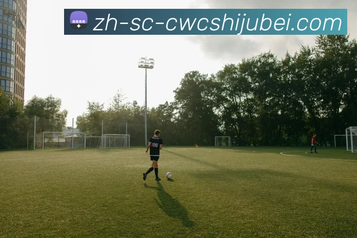 世界杯买球品牌故事