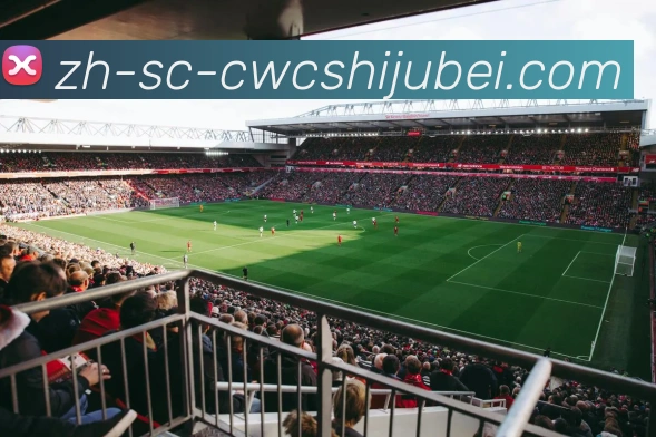 世界杯买球服务体系