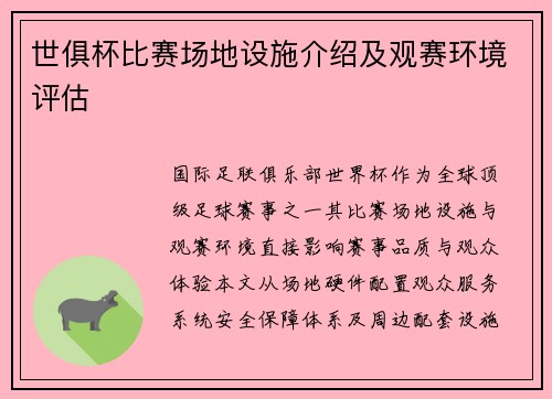 世俱杯比赛场地设施介绍及观赛环境评估
