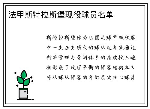 法甲斯特拉斯堡现役球员名单